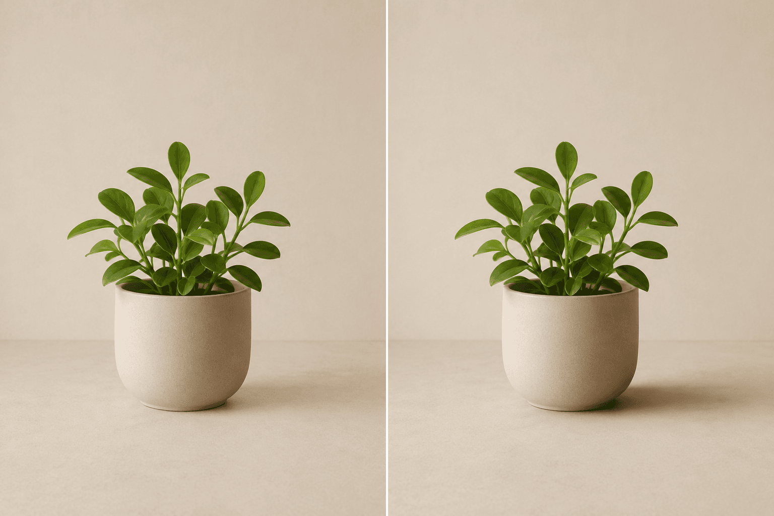 Illustrative before-and-after of a planter with a soft shadow added on an opaque tabletop.